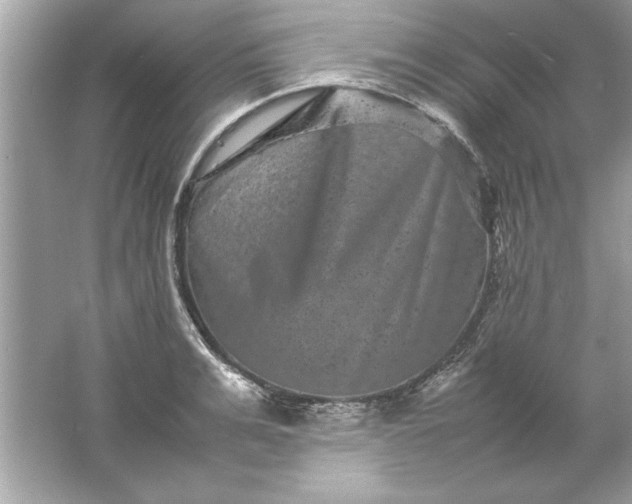 X0000061760991200512161738