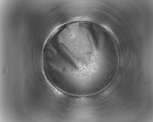 X0000061760992200512161738