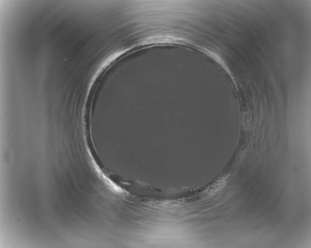 X0000061760995200512161738