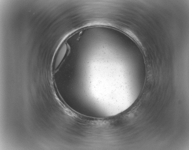 X0000061760996200512161738