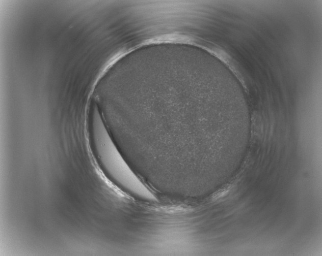 X0000061760998200512161738