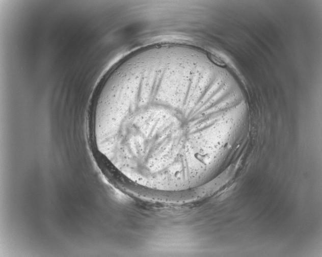 X0000061760999200512161738