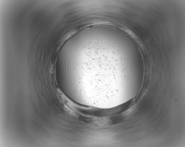 X0000061761001200512161738