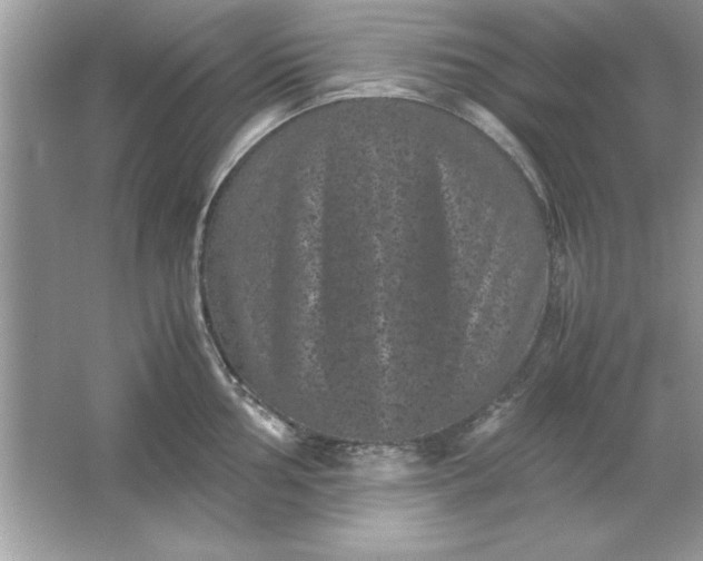 X0000061761002200512161738