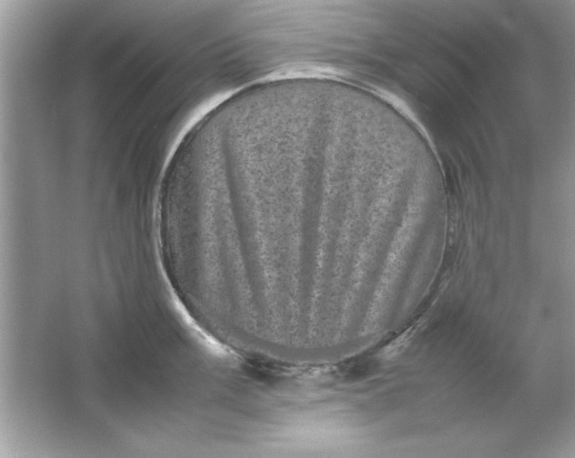 X0000061761003200512161738