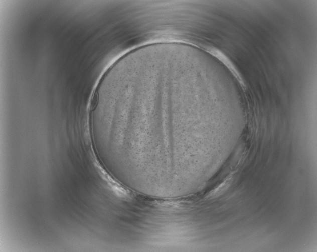 X0000061761004200512161738