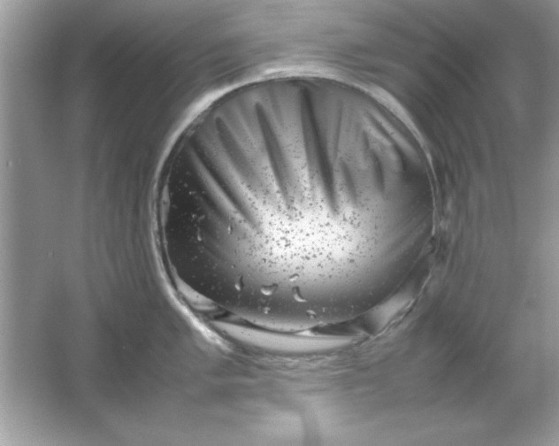 X0000061761005200512161738