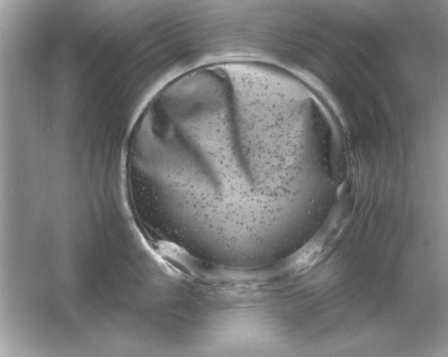 X0000061761006200512161738