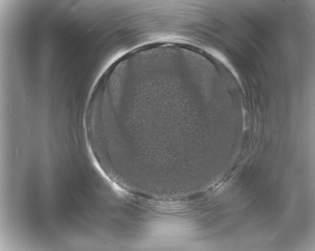 X0000061761007200512161738