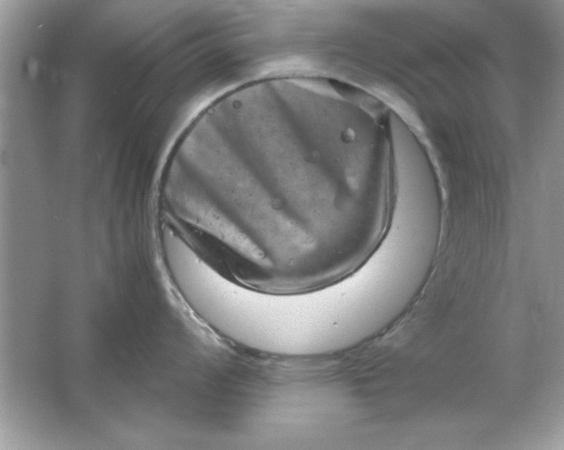 X0000061761008200512161738