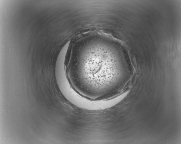 X0000061761010200512161737