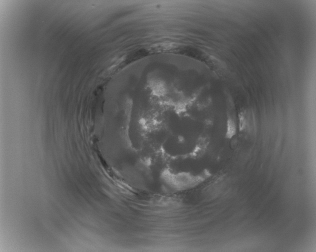 X0000061761011200512161737