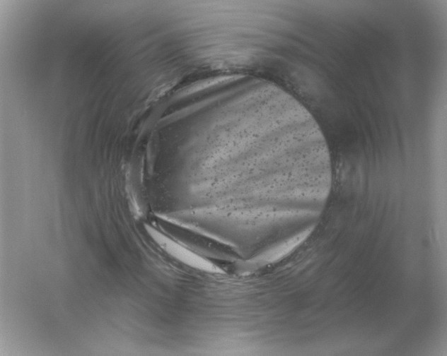 X0000061761012200512161737