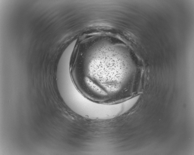 X0000061761014200512161737