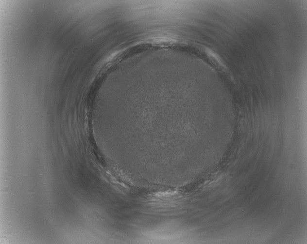 X0000061761016200512161737