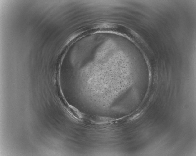 X0000061761017200512161737