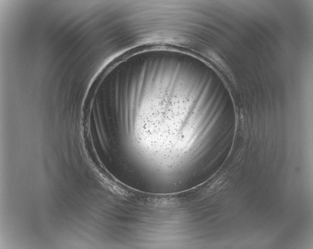 X0000061761020200512161738