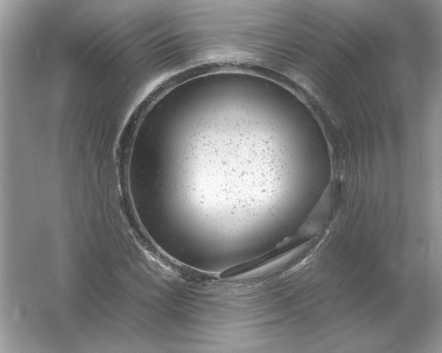 X0000061761022200512161738