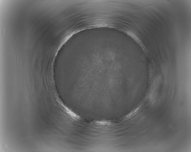 X0000061761023200512161738