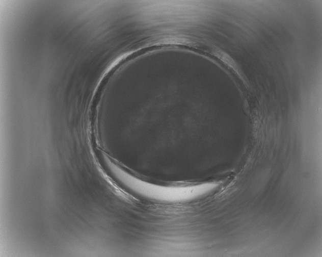 X0000061761024200512161738