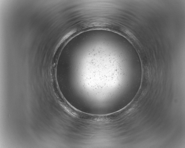 X0000061761026200512161738