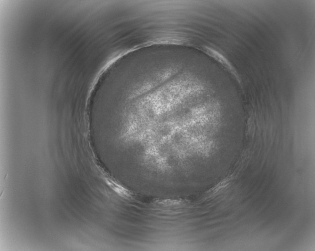 X0000061761027200512161738