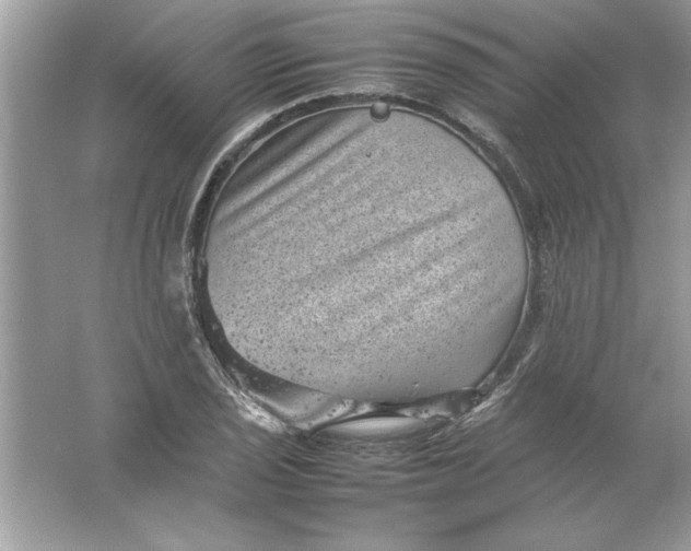 X0000061761029200512161738