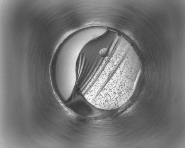 X0000061761030200512161738