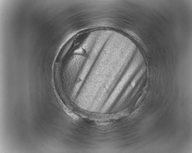 X0000061761031200512161738