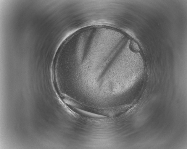 X0000061761032200512161738