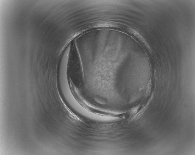 X0000061761033200512161738