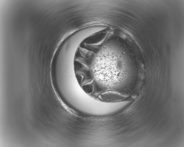 X0000061761034200512161738