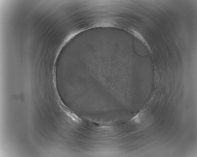 X0000061761035200512161738