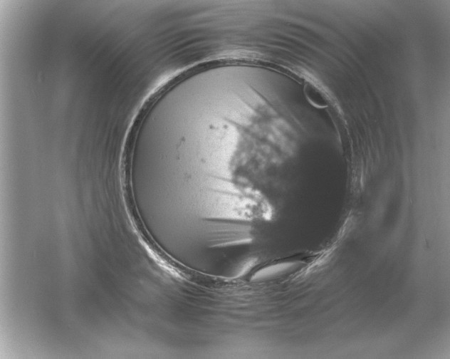 X0000061761037200512161738