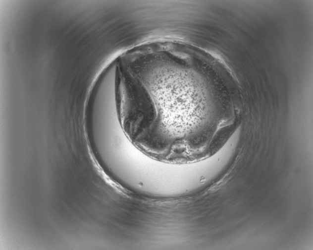 X0000061761038200512161738