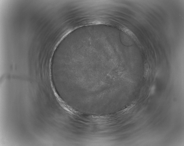 X0000061761039200512161738