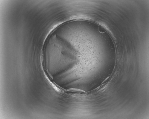 X0000061761040200512161738