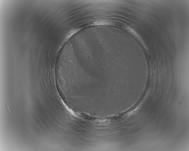 X0000061761041200512161738