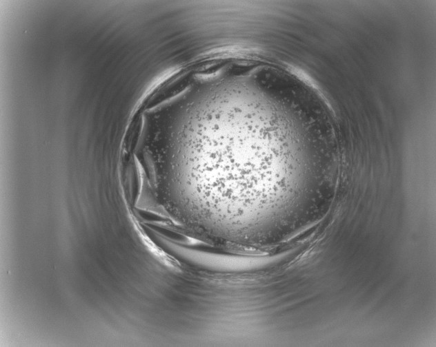 X0000061761042200512161738