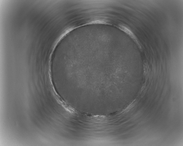 X0000061761043200512161738