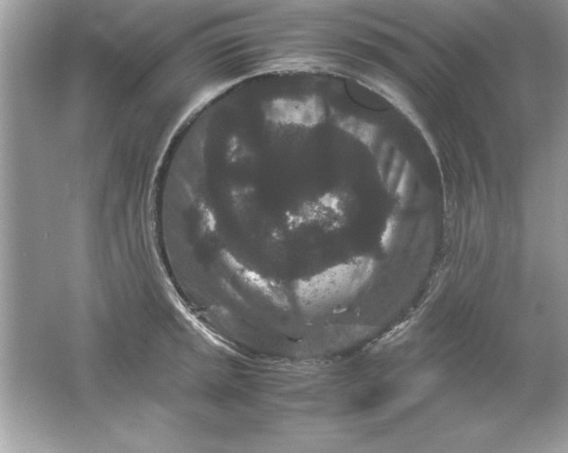 X0000061761045200512161738