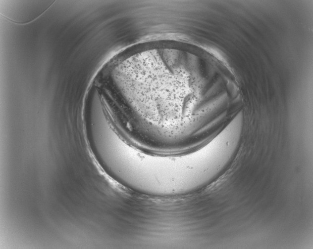 X0000061761046200512161738