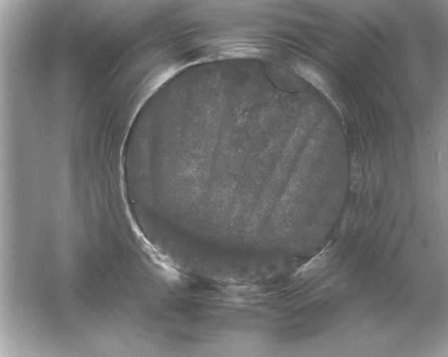 X0000061761047200512161738