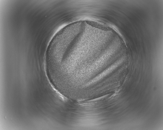 X0000061761048200512161738