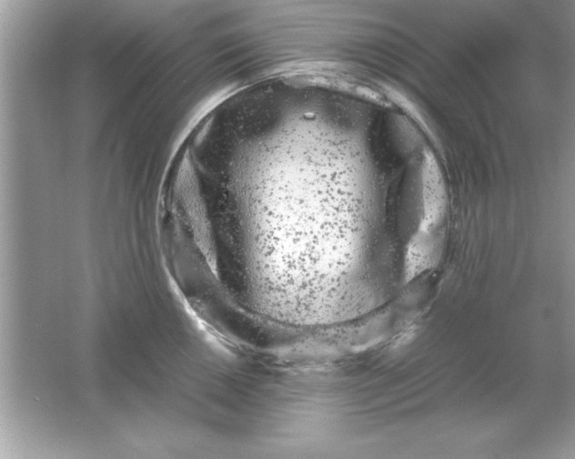 X0000061761050200512161738