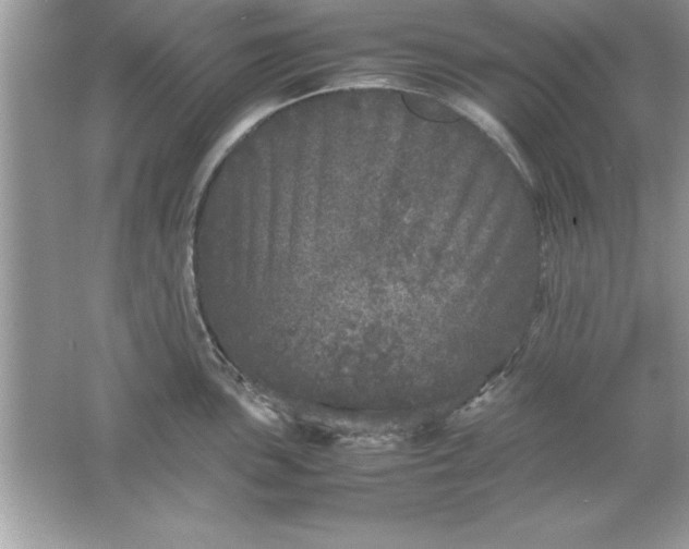 X0000061761051200512161738