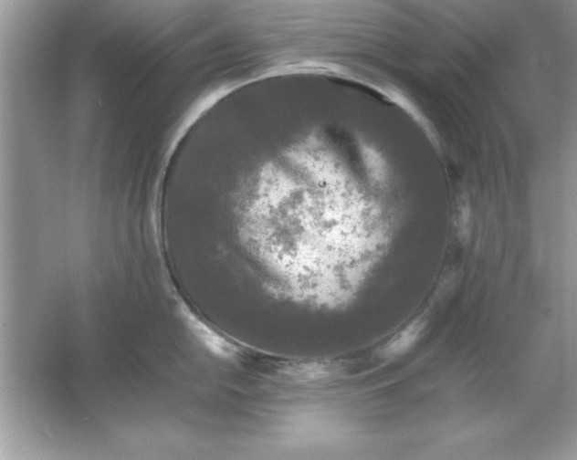 X0000061761054200512161738