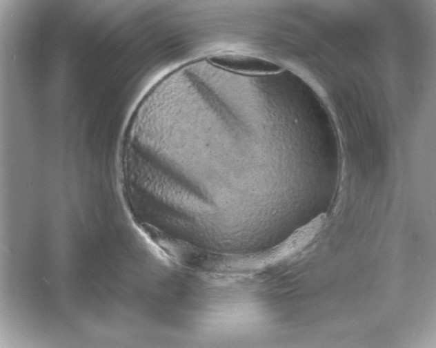 X0000061761056200512161738