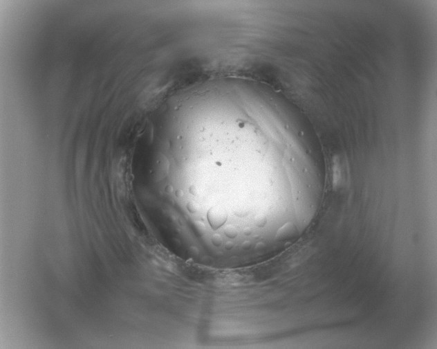 X0000061761059200512161737