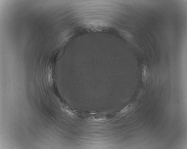 X0000061761060200512161737